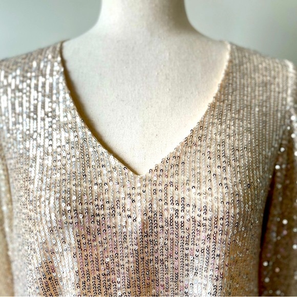 Vine & Love | V-Neck Sequin Blouse with Balloon Sleeves | Champagne | Small - Picture 2 of 5